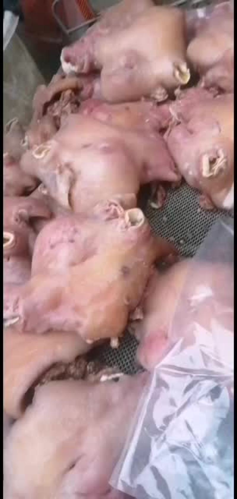 新鲜牛头肉长期供货不断货全网低价抢购中
