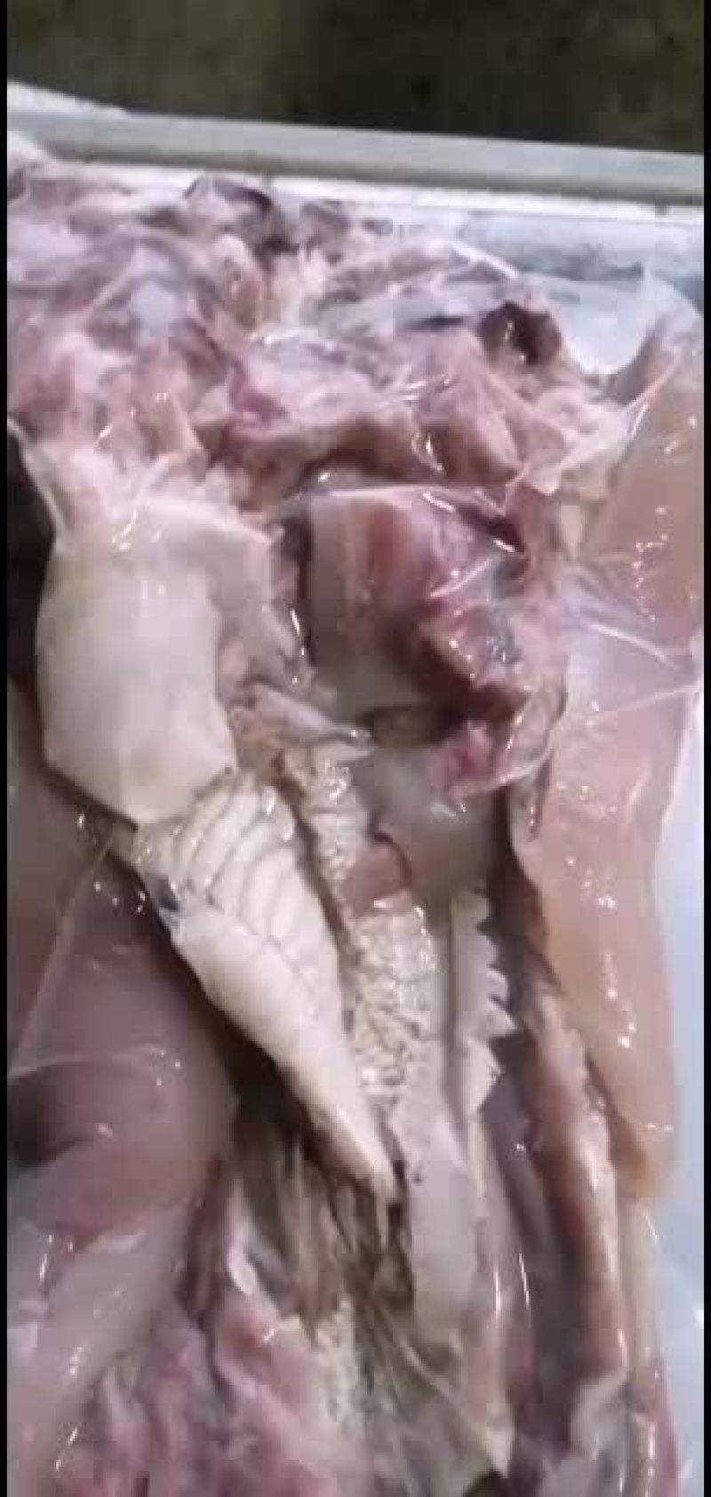 新鲜牛头肉长期供货不断货全网低价抢购中