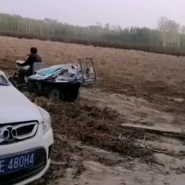 麻山药，铁扞，双捧，白玉