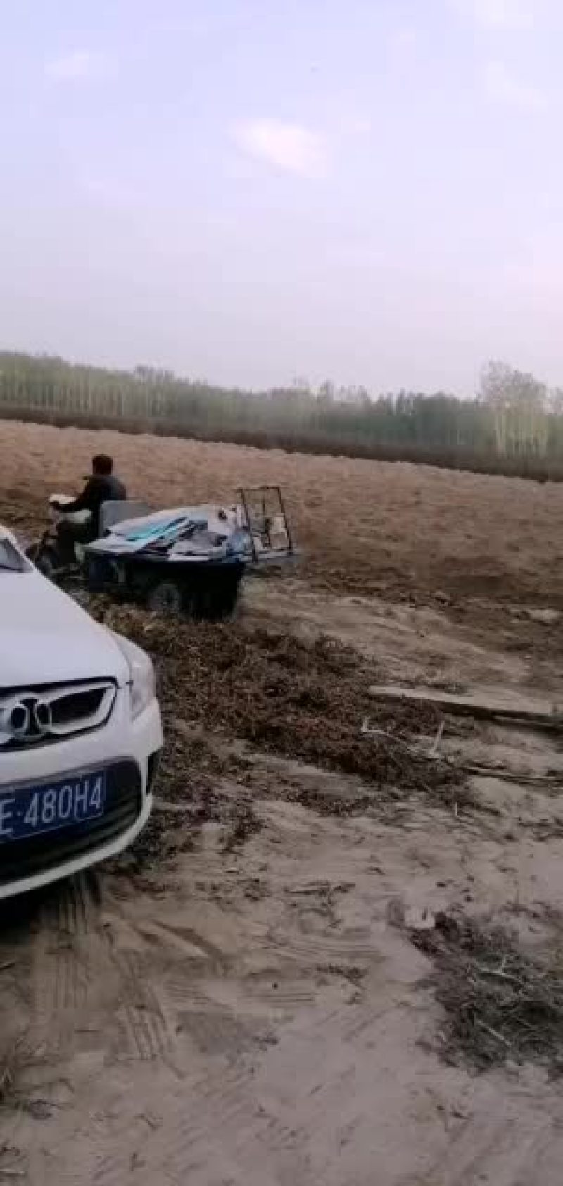 麻山药，铁扞，双捧，白玉