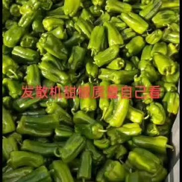 质量好价格实惠想发财的老板联系