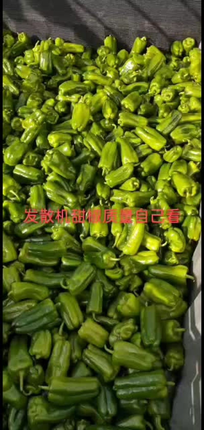 质量好价格实惠想发财的老板联系