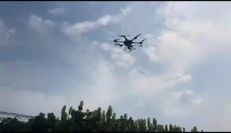 AAA山东种兔养殖场欢迎新老朋友我场为繁育一体
