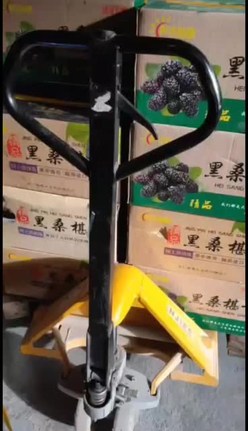 新货黑桑椹！实拍图！纯净无沙！大颗粒你哦！