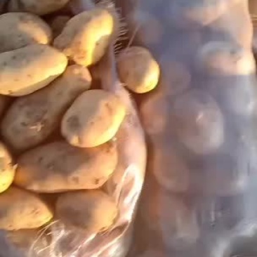 226土豆有要的客商来电