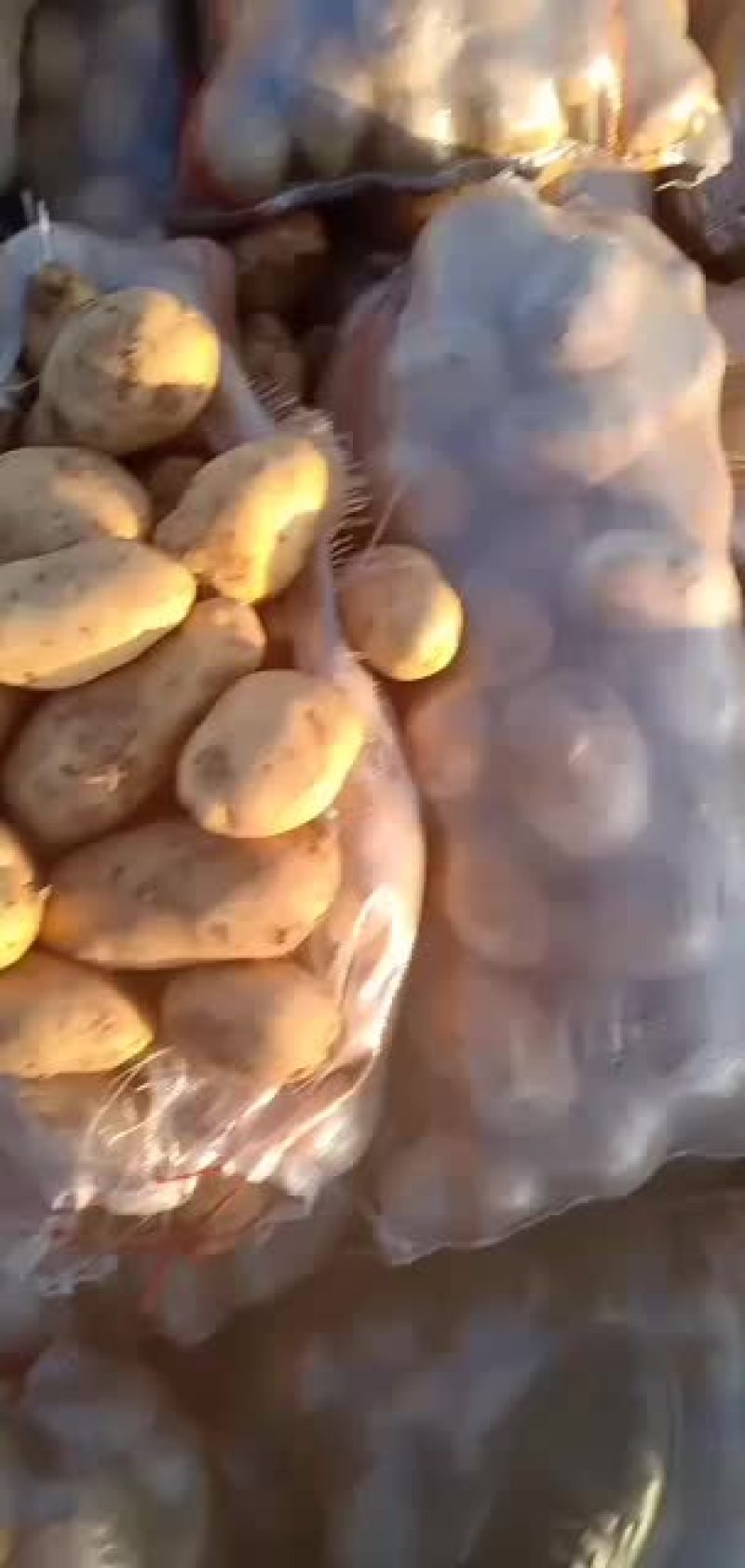 226土豆有要的客商来电