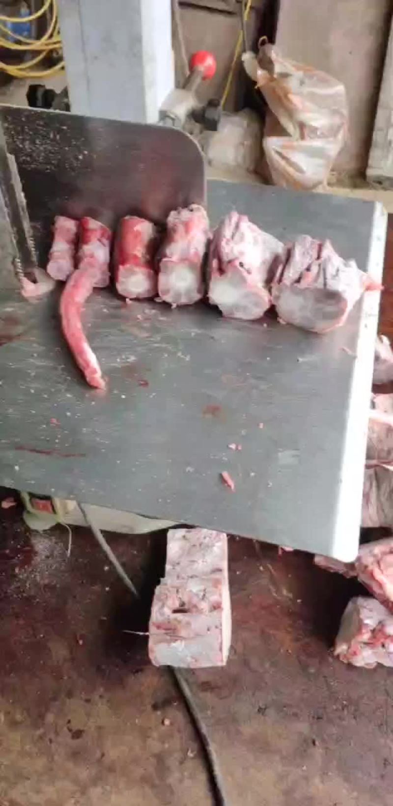 自家养殖