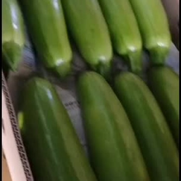 精品西葫芦常年有货。