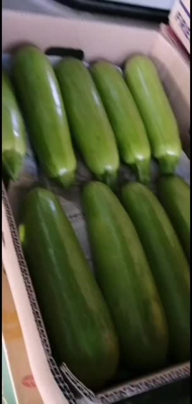 精品西葫芦常年有货。