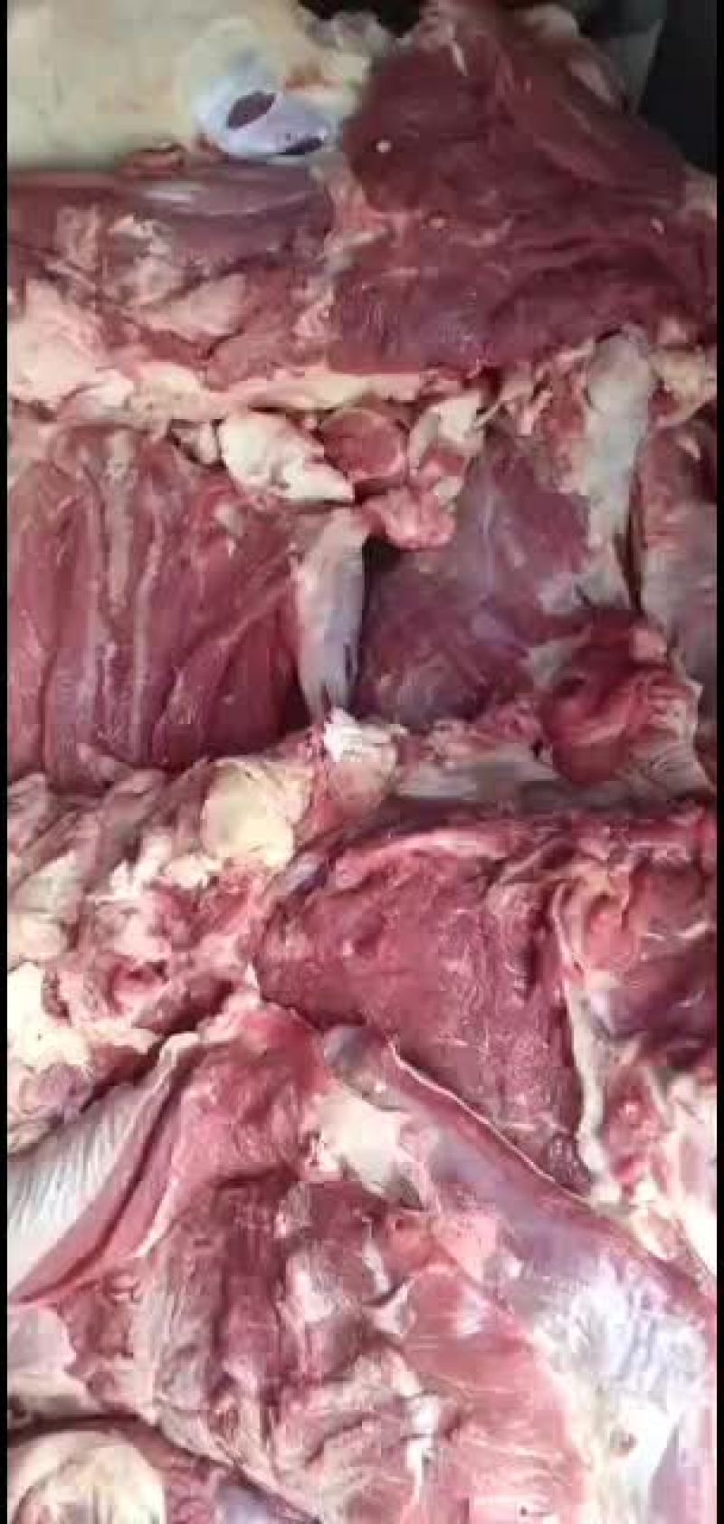 纯干鲜牛肉质量保证草修牛肉