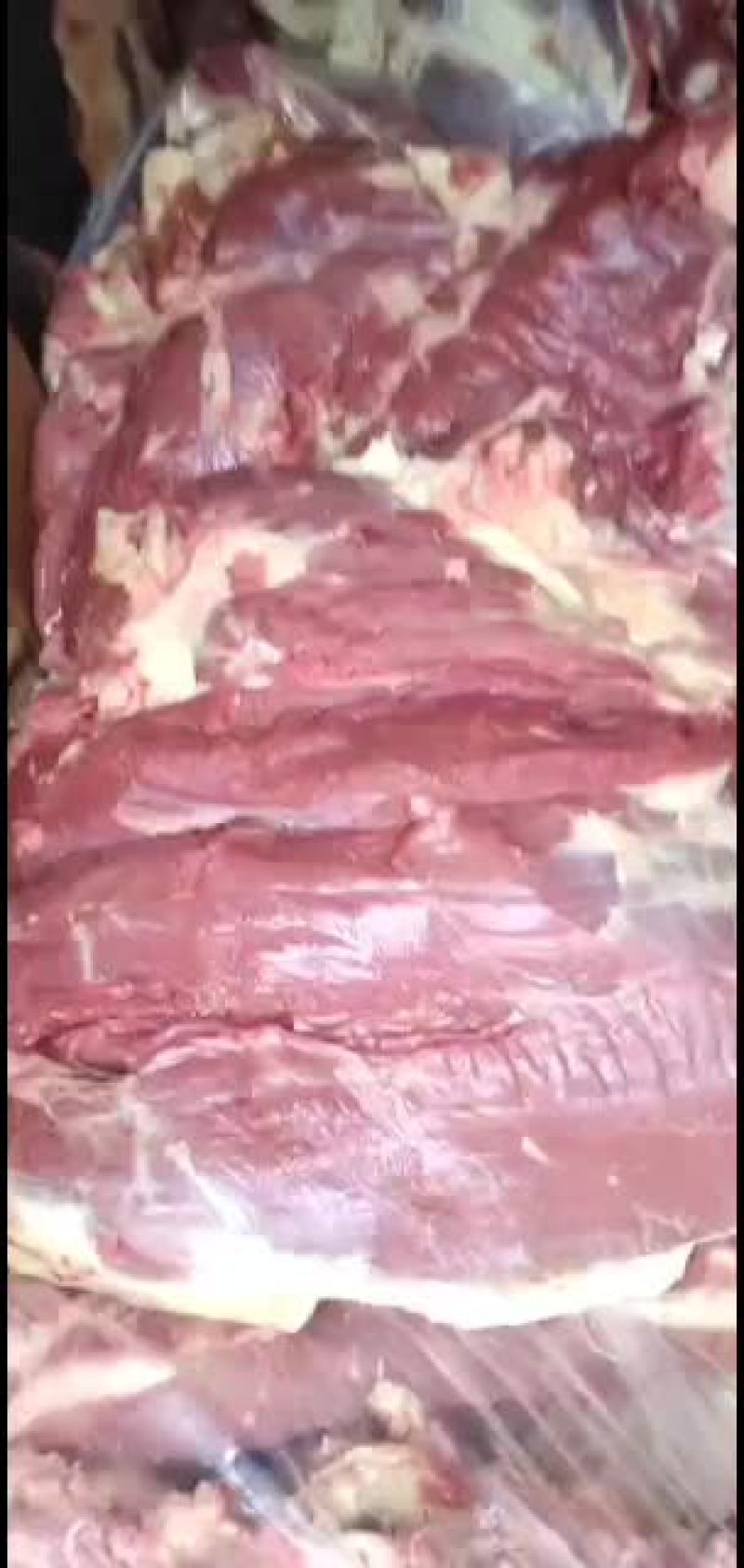 纯干鲜牛肉质量保证草修牛肉