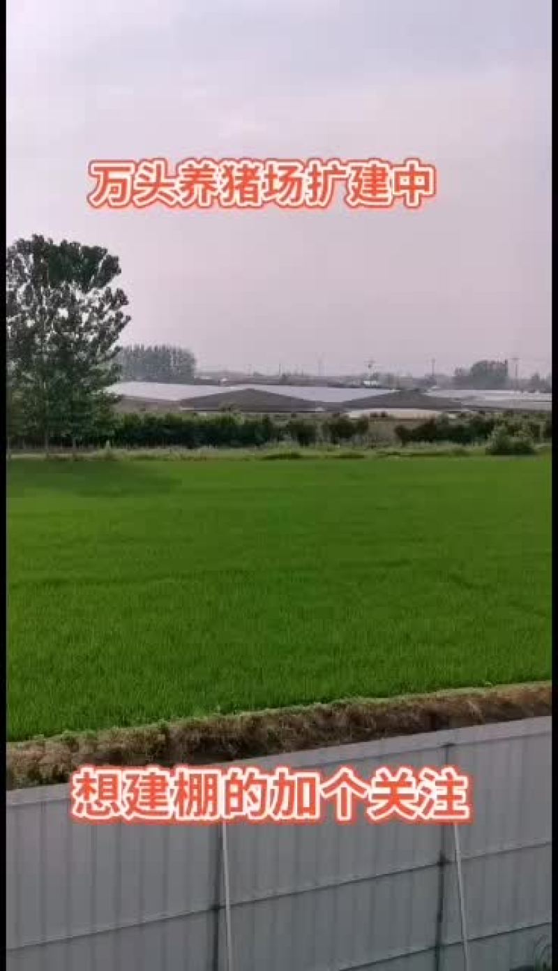 养殖大棚实体厂家华运通一站式服务免费预算设计！量大有优惠