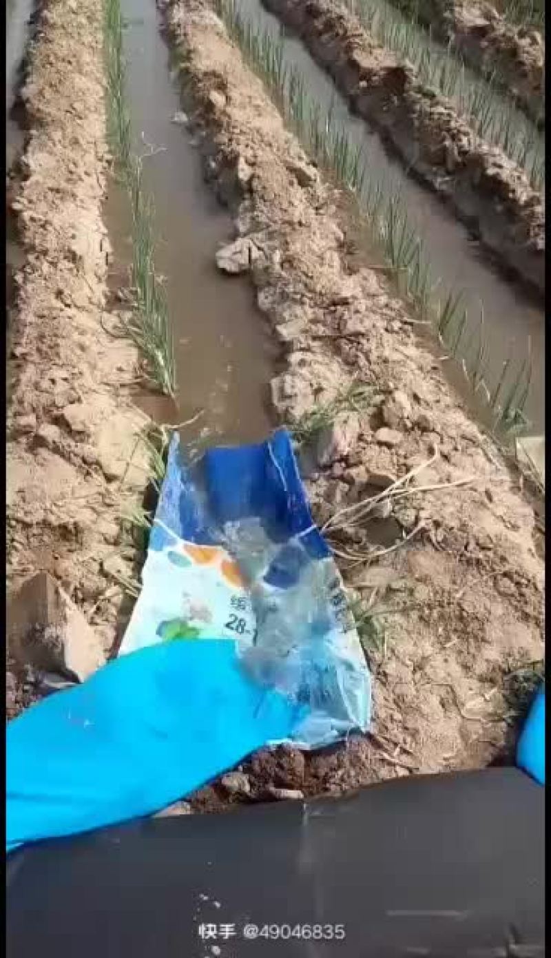浇地不水带，轻松又方便，喜欢的可以试试！