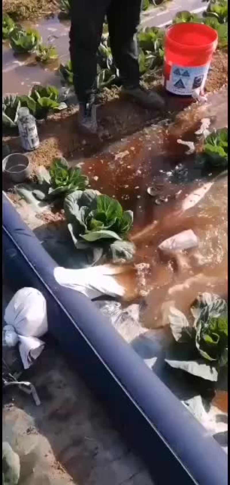 浇地不水带，轻松又方便，喜欢的可以试试！