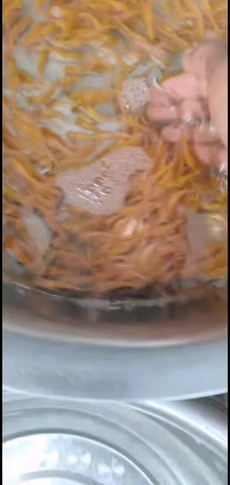 广东肇庆金草鱼苗批发，金丝鲩，俄罗斯金草鱼