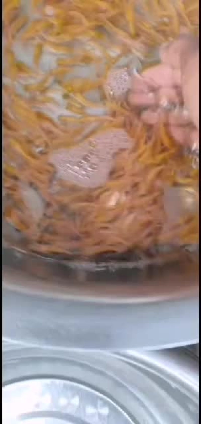 广东肇庆金草鱼苗批发，金丝鲩，俄罗斯金草鱼