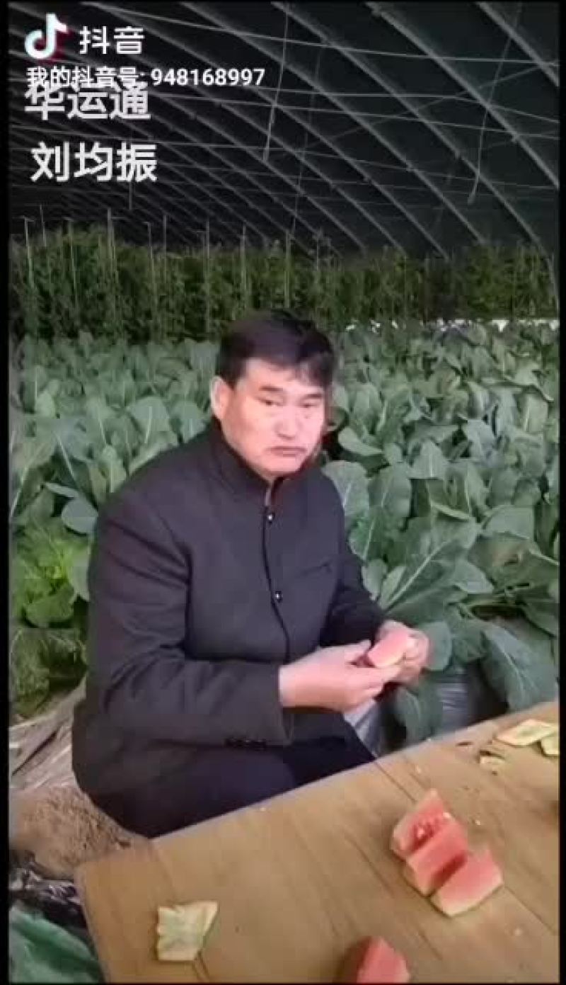 养殖大棚实体厂家华运通一站式服务免费预算设计！量大有优惠