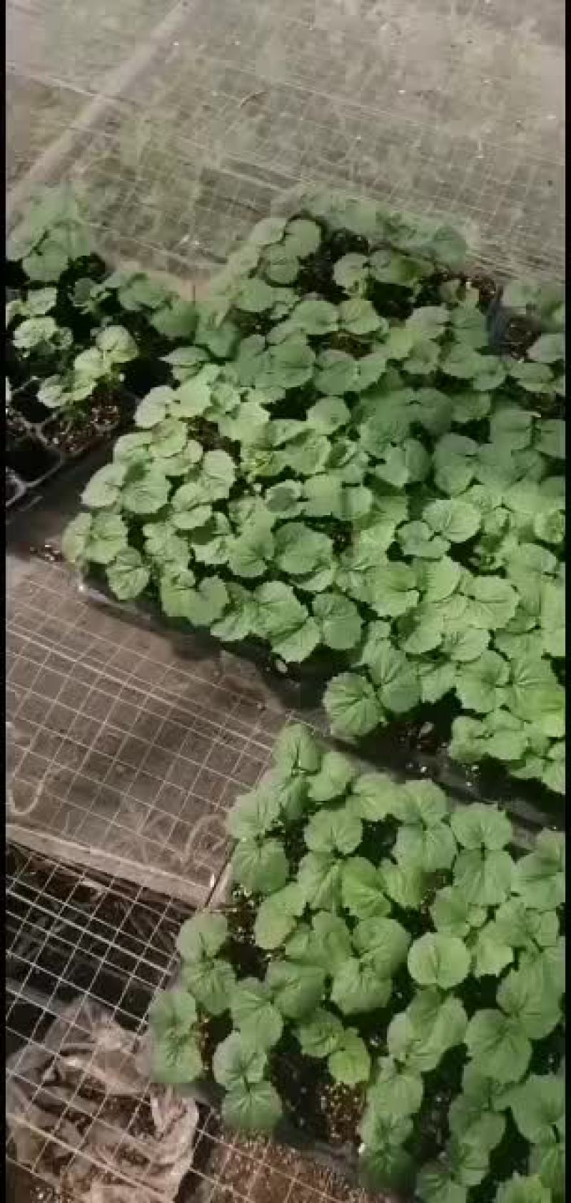 厂家直销，货优价廉，质量好