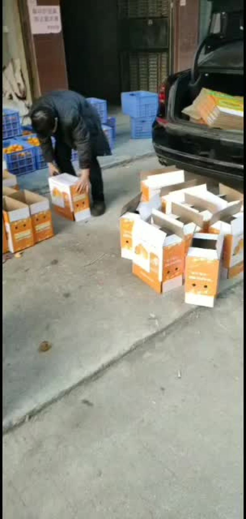永兴冰糖橙农业合作社