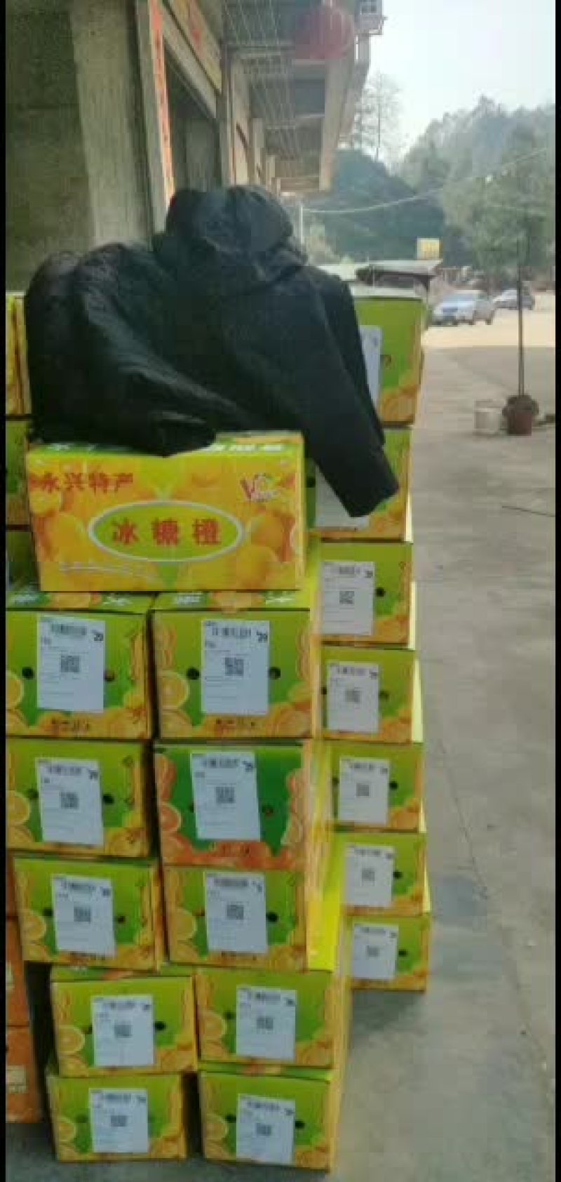 永兴冰糖橙农业合作社