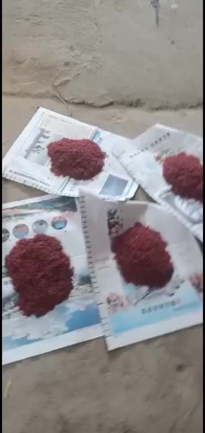 大小红虫，公母都有，需要联系