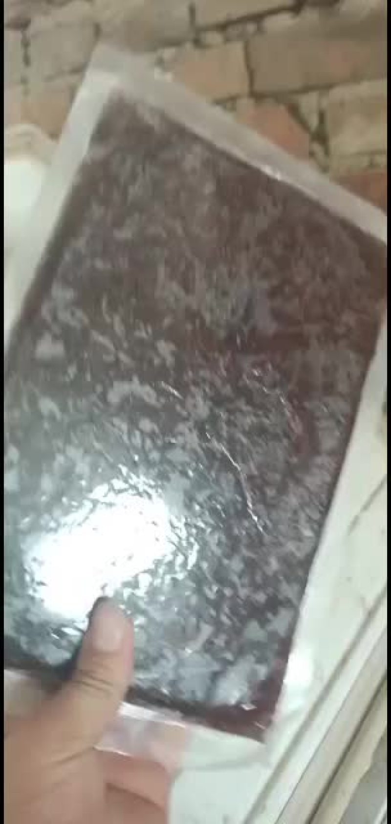 大小红虫，公母都有，需要联系