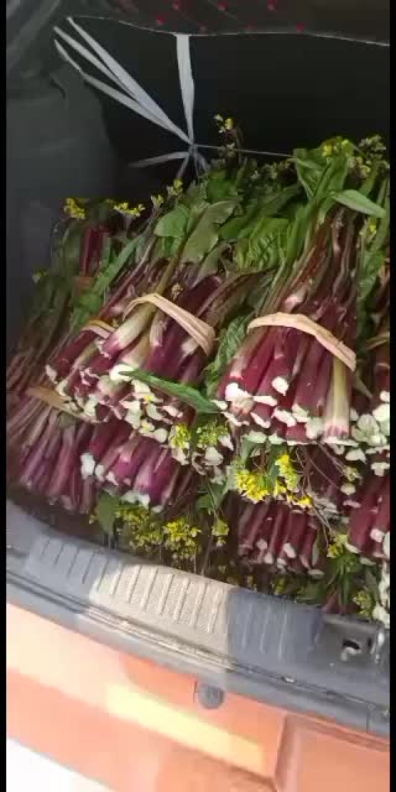 本地红油菜大量上市，