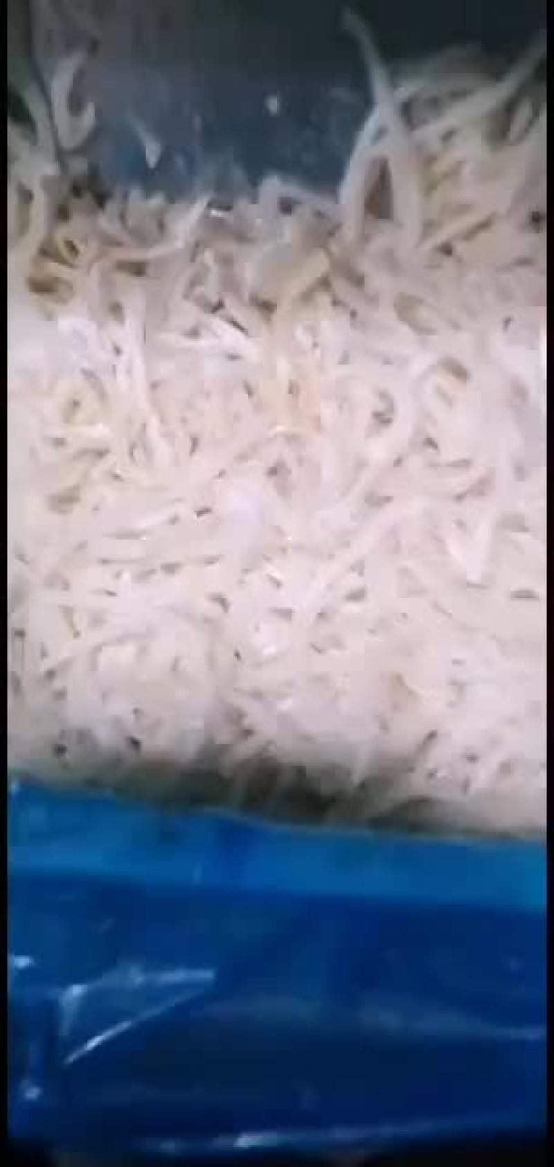 牛皮丝纯干货，一手货源，价格低