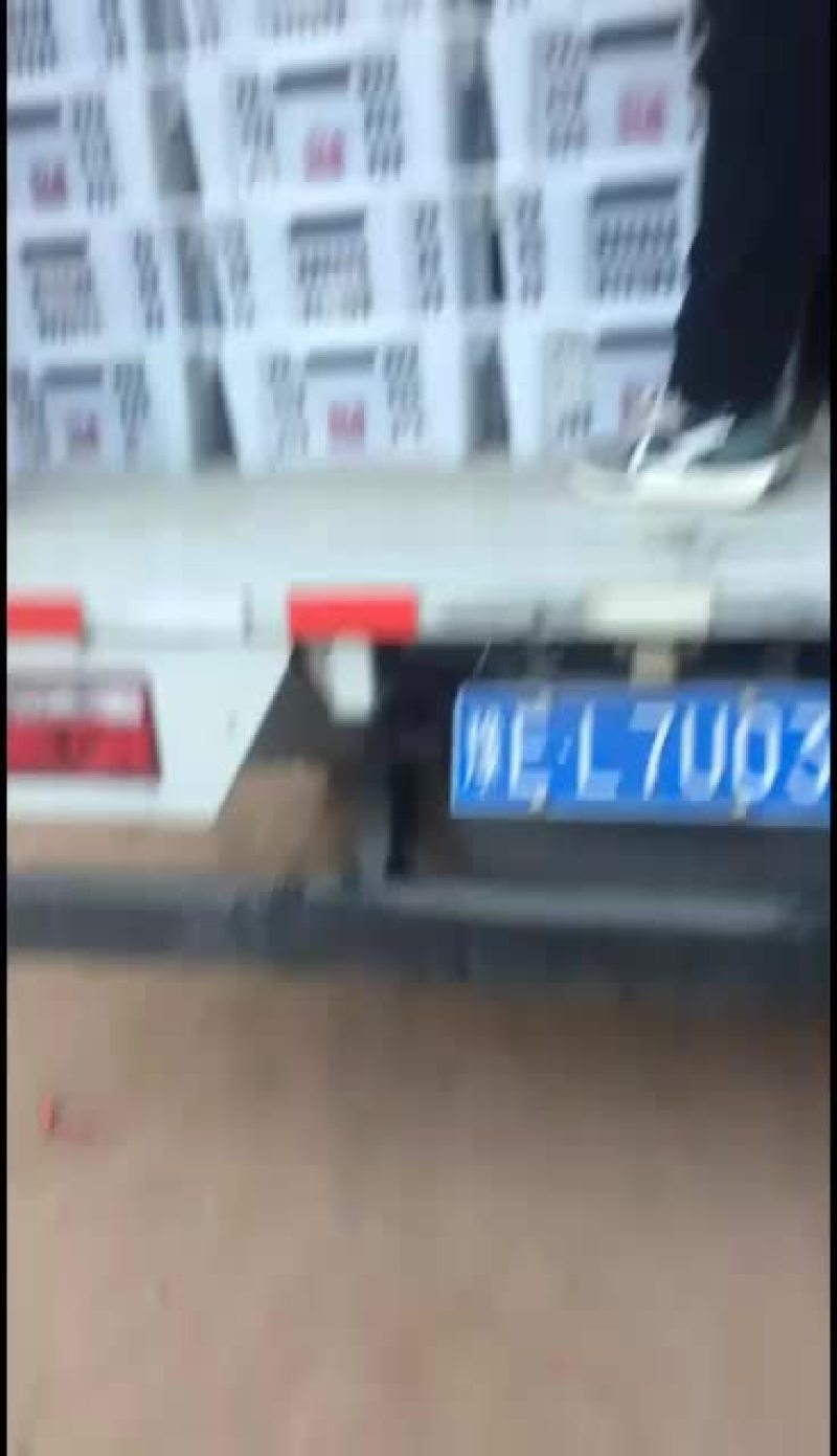 鲜平菇大量上市，有意愿的联系