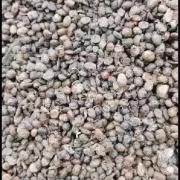 益生菌大豆有机肥，大棚必选之肥