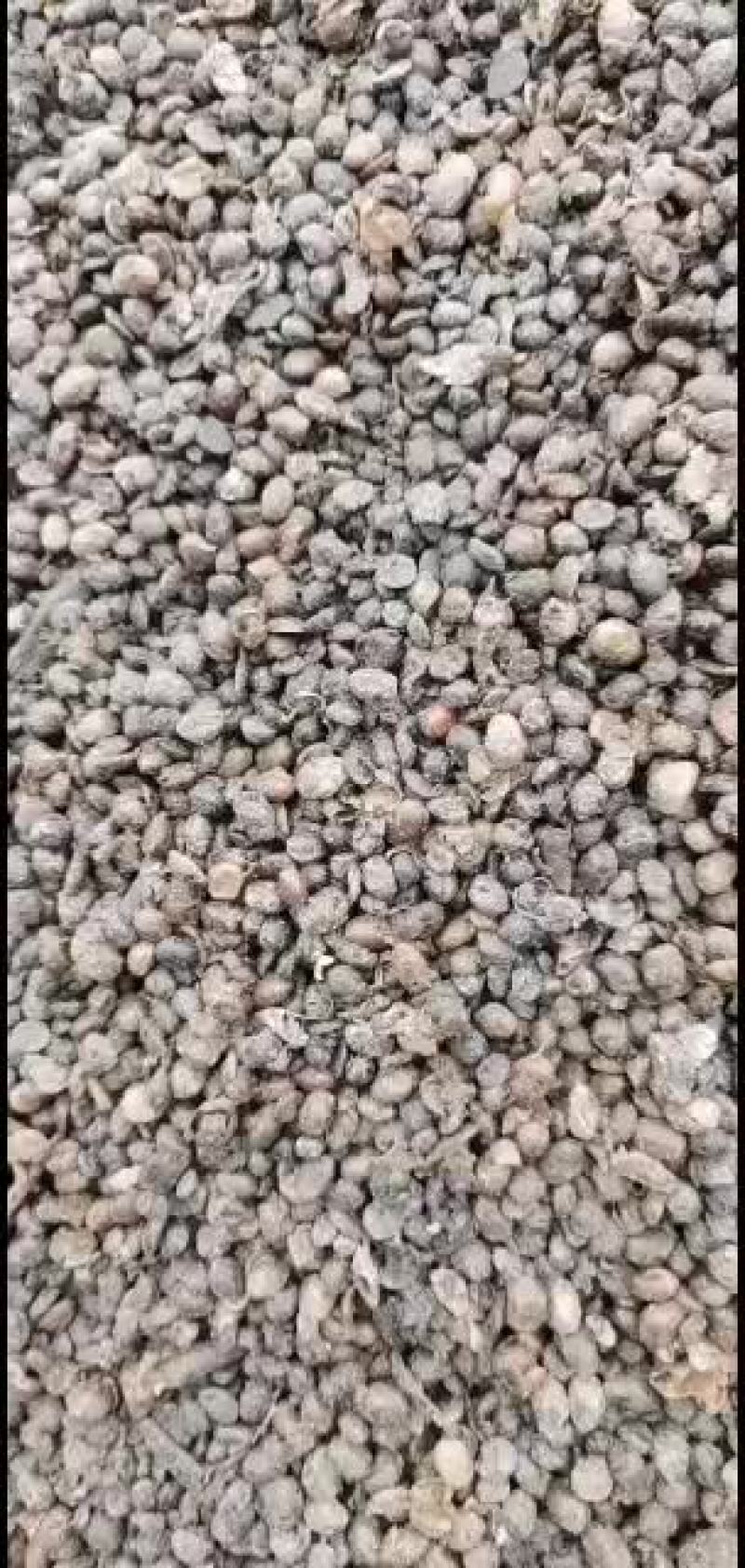 益生菌大豆有机肥，大棚必选之肥