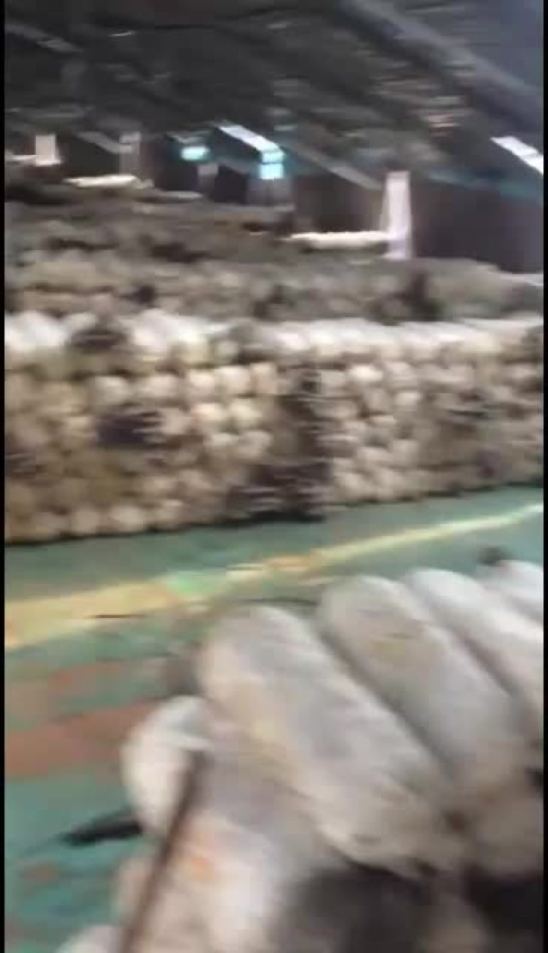 鲜平菇大量上市，通货中叶精品都有