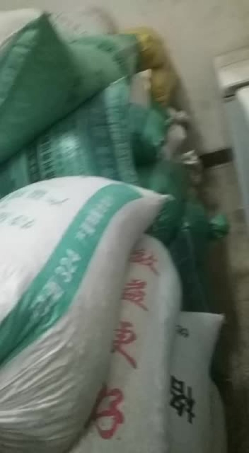 江西丰城苦珠批发邓国良，诚信经营，薄利多销。谢谢惠顾！