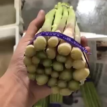 福建云霄精品绿芦笋，质量又好又便宜