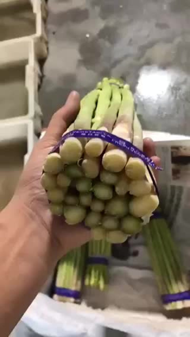 福建云霄精品绿芦笋，质量又好又便宜