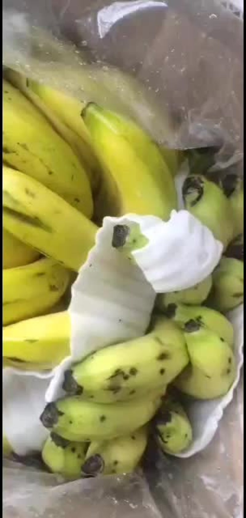新到货感谢新老顾客订购