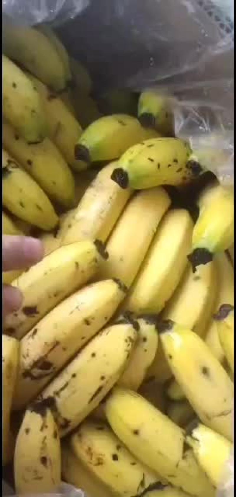 新到货感谢新老顾客订购