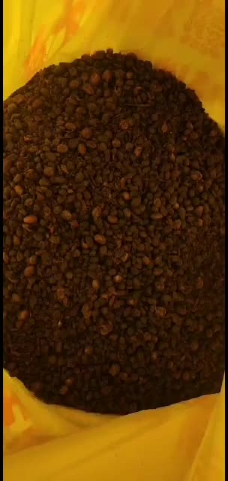 大豆有机肥，旺季，供不应求