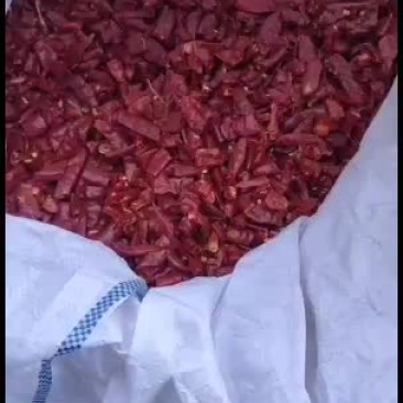 辣椒段，品种齐全，全部一等椒剪的