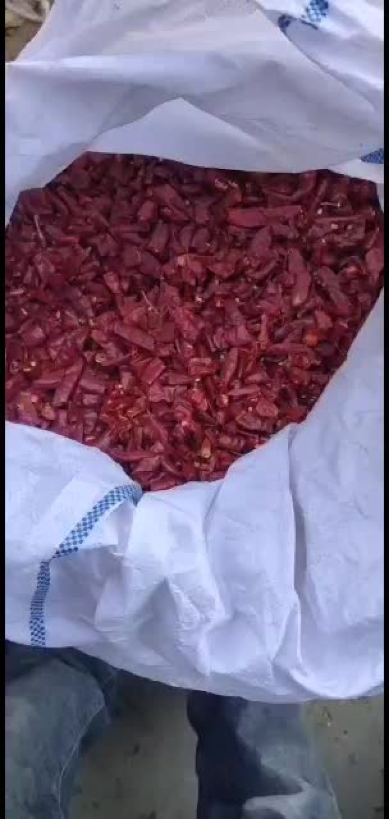 辣椒段，品种齐全，全部一等椒剪的