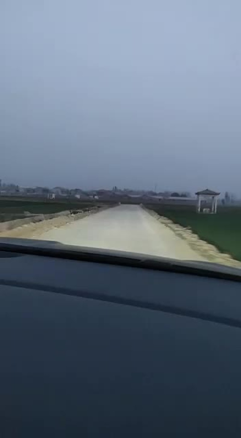 纯三花鹅苗，报七天成活率，出壳防疫，送货上门