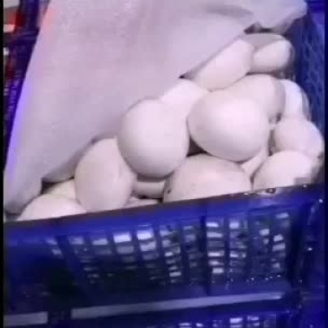 吃天康口蘑，愿天下人健康！