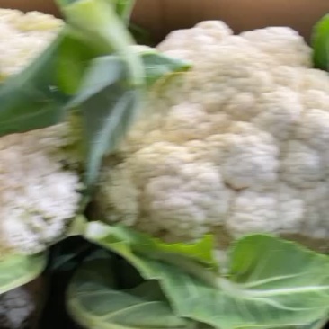 东台有机花菜大量上市中，质量好价格便宜，欢迎下单