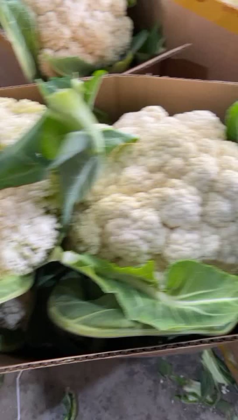 东台有机花菜大量上市中，质量好价格便宜，欢迎下单