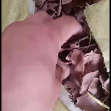 好货不便宜，便宜没好货，