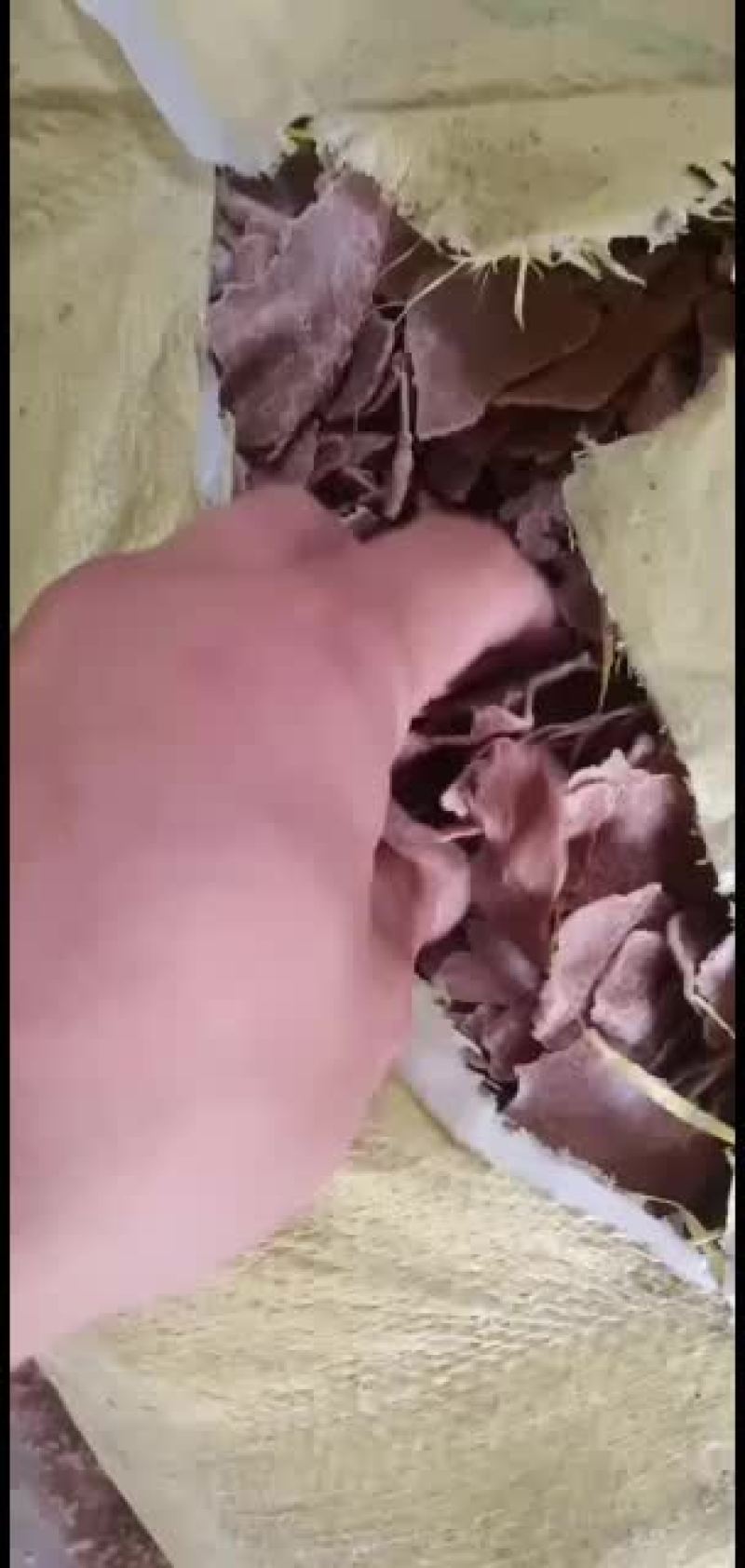 好货不便宜，便宜没好货，