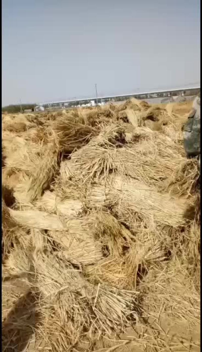 常年供应散草机割手割稻草