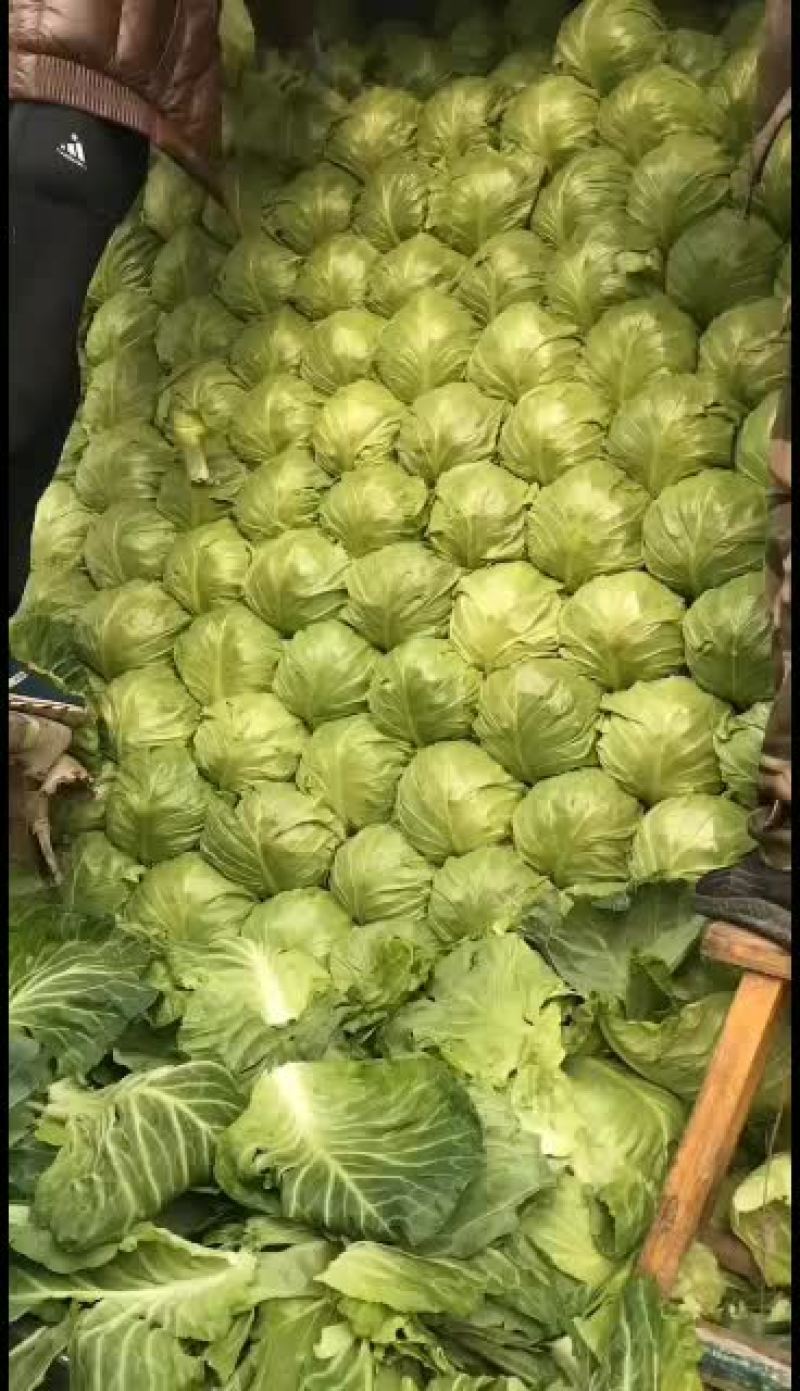 唐山货大量上市有需要的老板与我联系