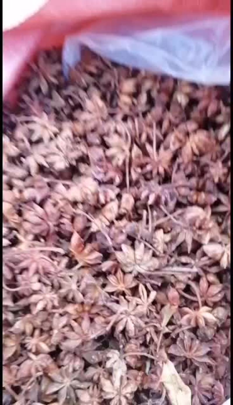 八角产地自晒年年有货希望长期合作，可订要规格，干度