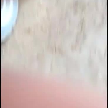 鲜平菇，今天货有点紧张，价格上涨